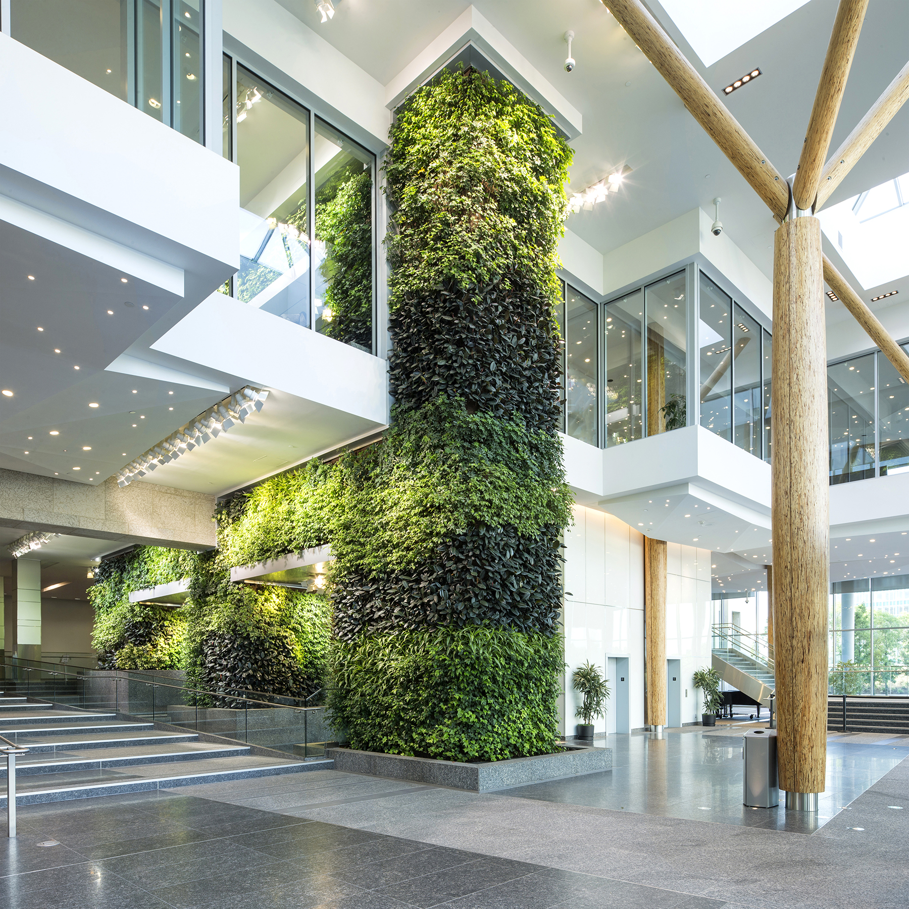 Green Walls: A Growing Trend
